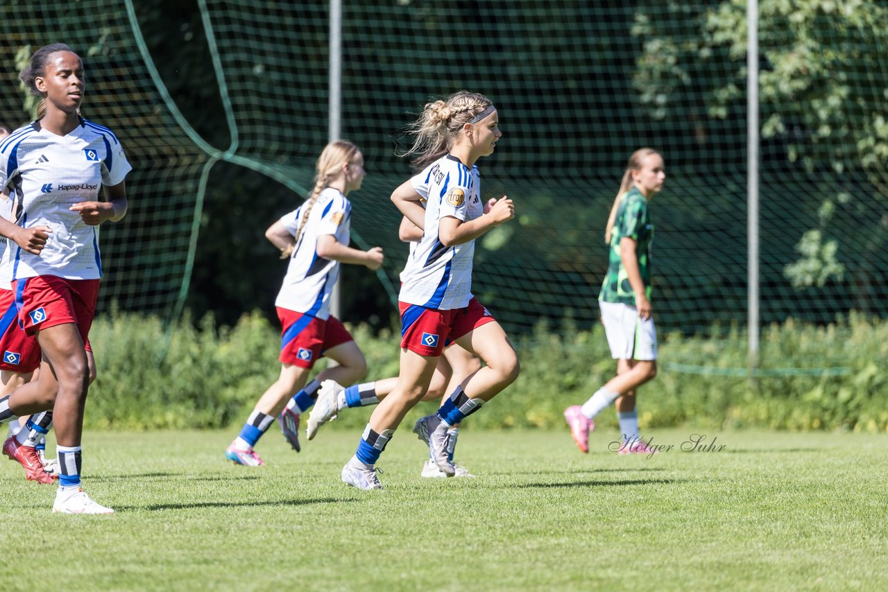 Bild 374 - wBJ Hamburger SV - VfL Wolfsburg : Ergebnis: 5:1